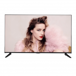 OEM 55 Inch Flat Screen Television