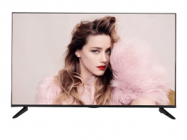 OEM 55 Inch Flat Screen Television